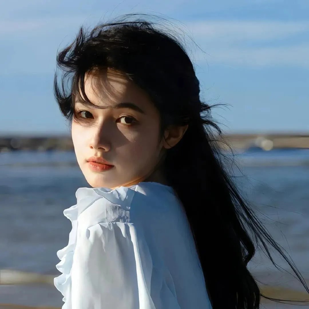 金鹰宝藏